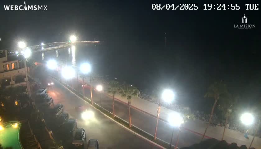 A nighttime, slightly wet coastal scene shows a road with cars, palm trees lining a sidewalk by the water, and brightly lit buildings nearby.