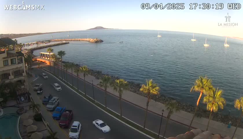 A coastal road lined with palm trees curves alongside a calm body of water under a clear, sunny sky, with several boats visible in the distance and a small marina to the left.