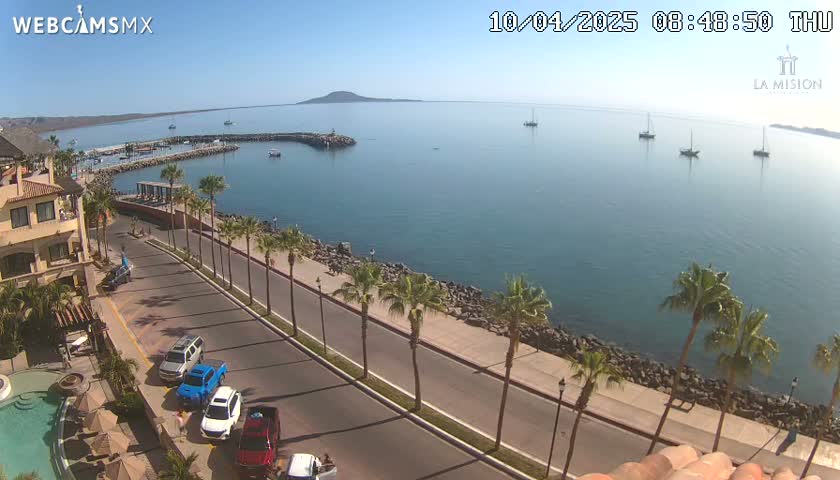A sunny day overlooking a calm bay with several sailboats, a paved road lined with palm trees leading to a marina, and a building with a pool in the foreground.
