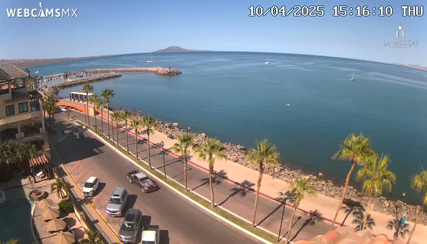 A sunny coastal scene shows a road lined with palm trees next to a calm body of water, a small marina, and a distant mountain.