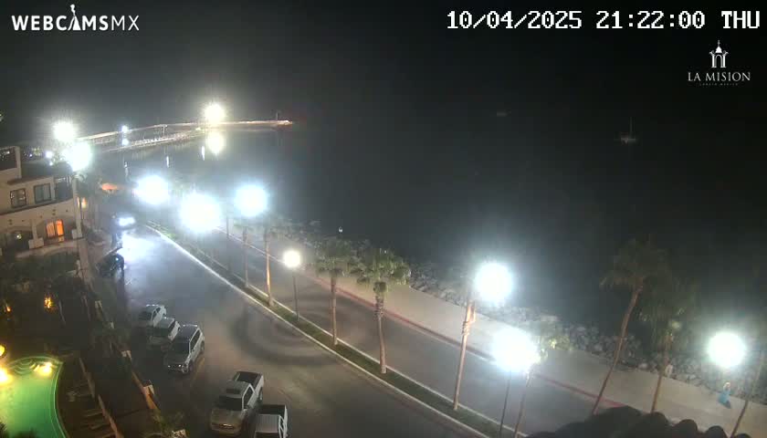 A nighttime aerial view shows a coastal road lined with palm trees, parked cars, and bright streetlights, overlooking a dark body of water with a pier in the distance.