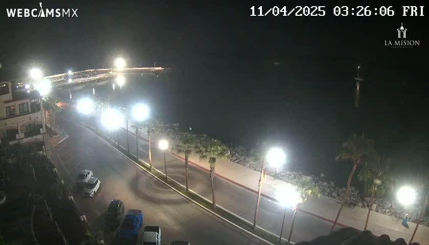 A nighttime, illuminated view of a waterfront road with parked cars, palm trees, and a calm body of water.