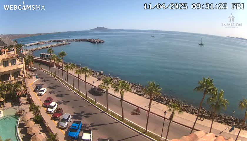A sunny day overlooking a coastal town with palm trees lining a road next to a calm ocean and a small marina, with several cars parked along the road.