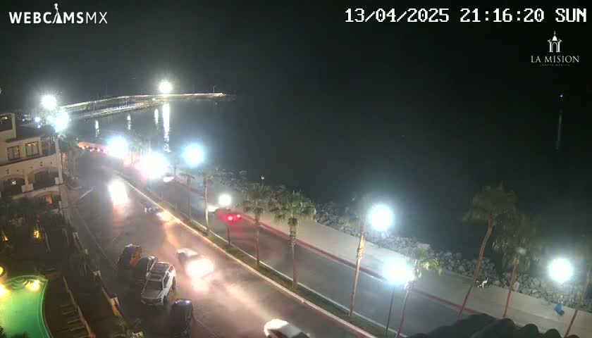 A nighttime view of a coastal road with cars driving along it, next to a calm body of water and palm trees under artificial lighting.
