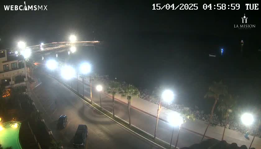 A nighttime view of a coastal road illuminated by streetlights, with palm trees lining the waterfront and a dark body of water visible beyond.