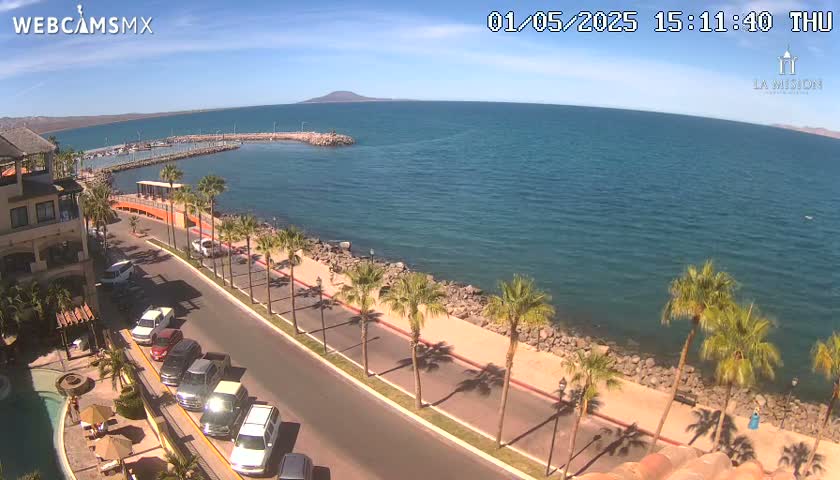 A coastal road lined with palm trees runs alongside a calm, blue ocean under a sunny sky, with a marina and buildings visible in the background.