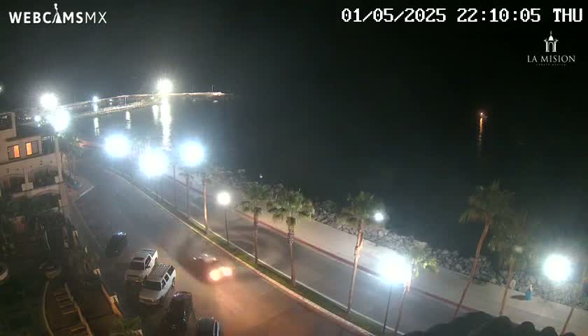 A nighttime, coastal scene shows a roadway with several cars, palm trees lining a sidewalk next to a body of dark water, and brightly lit buildings in the background.