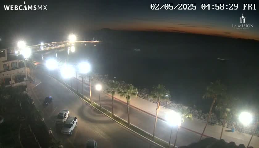 A nighttime, coastal scene shows a road next to a calm body of water, lined with palm trees and buildings, under a twilight sky.