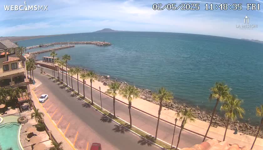 A sunny coastal scene shows a road lined with palm trees beside a calm ocean with a small marina and distant mountains under a clear blue sky.