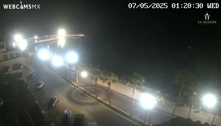 A nighttime, brightly lit coastal road scene shows palm trees lining a roadway with parked cars and a dark body of water in the background.