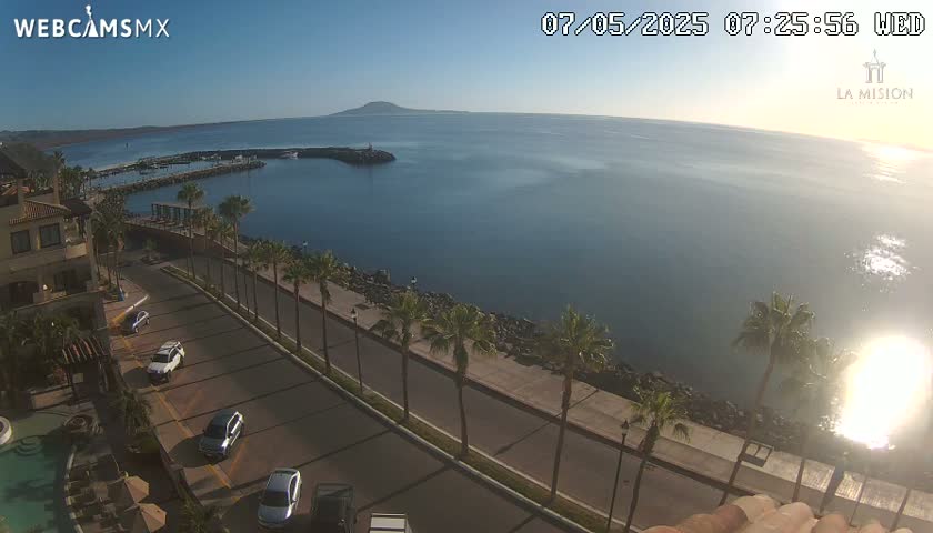 A sunny coastal scene shows a calm ocean, palm trees lining a paved road next to a building, and several cars parked along the roadside.