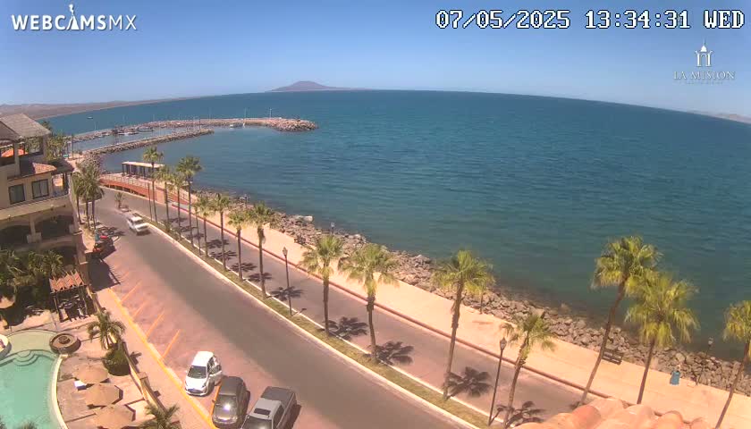 A seaside road lined with palm trees curves along a calm, blue ocean under a clear, sunny sky.