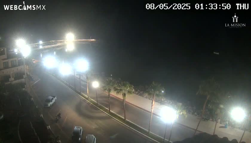 A nighttime, overhead view of a coastal road with palm trees lining a sidewalk next to a dark body of water, illuminated by streetlights.
