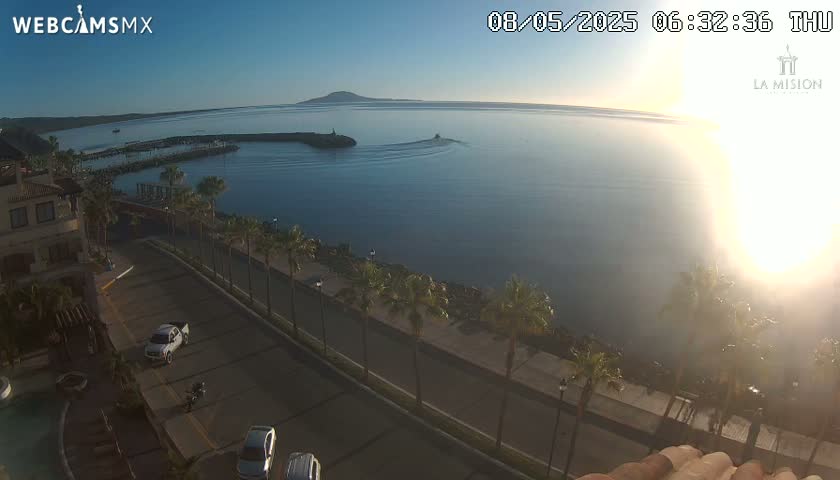 A high-angle, long shot shows a calm body of water at sunrise with a marina, palm trees lining a roadway, and several cars parked along the street.