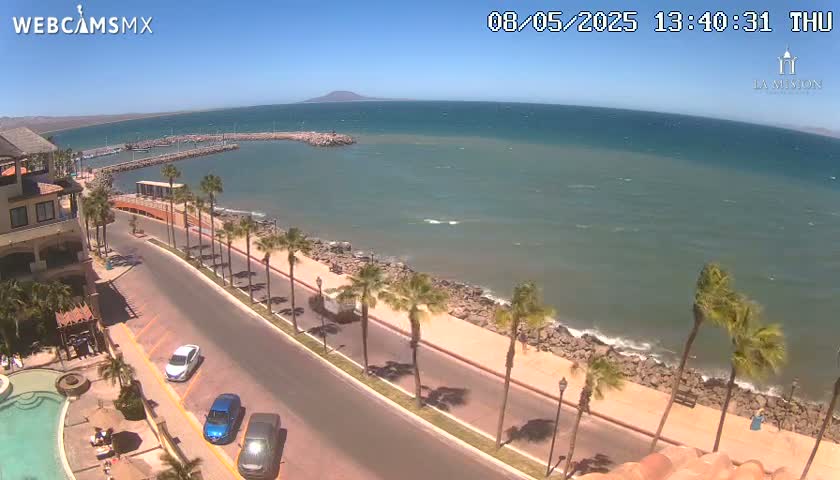 A seaside road lined with palm trees curves along a calm, blue-green ocean on a sunny day.