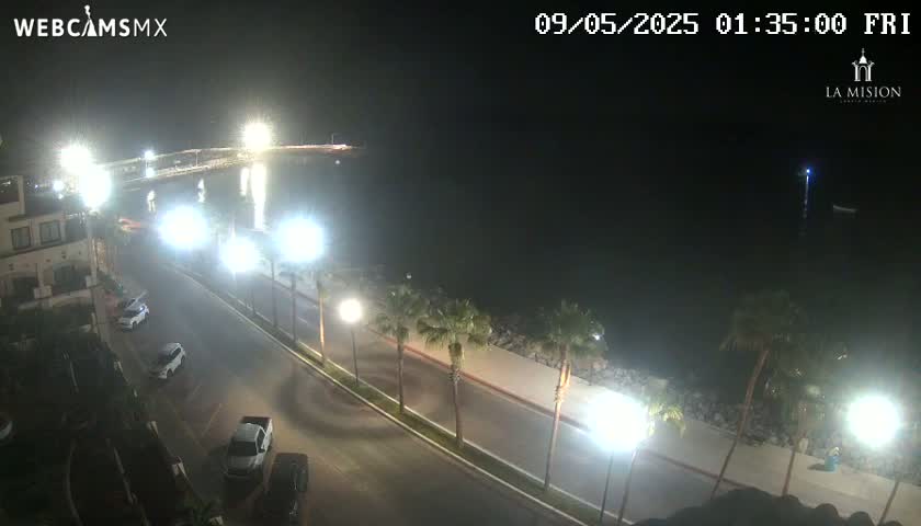 A nighttime view of a waterfront road lined with palm trees and streetlights, with several cars parked along the side and a body of water visible in the background.