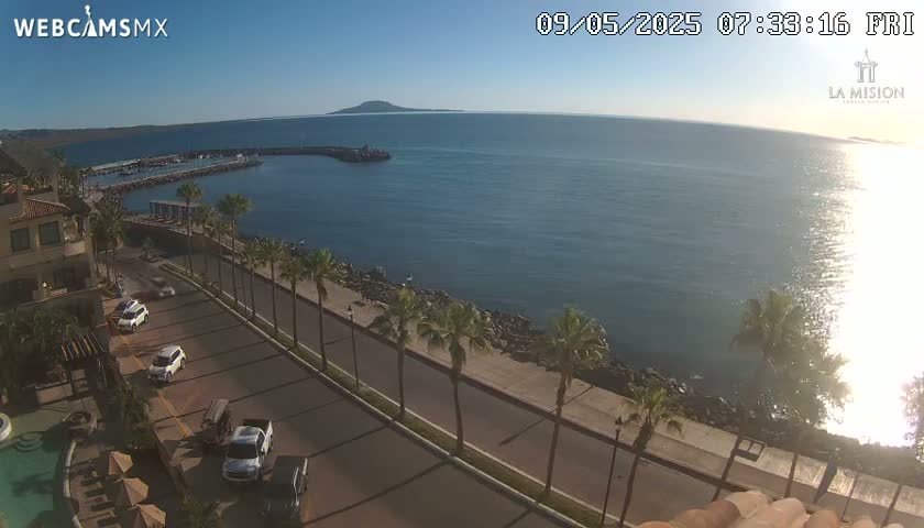 A coastal road lined with palm trees overlooks a calm ocean with a distant island under a clear, sunny sky.
