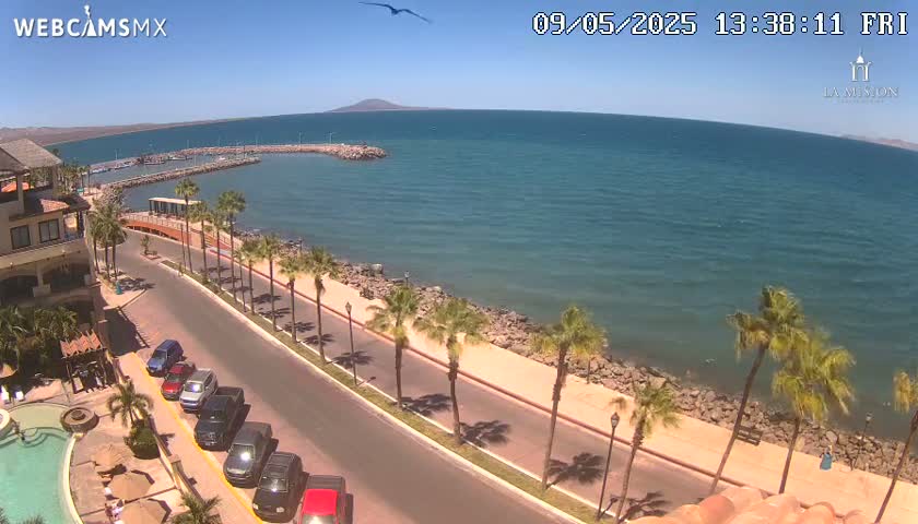 A sunny coastal scene shows a calm ocean, a paved road lined with palm trees, parked cars, and a building with a pool.