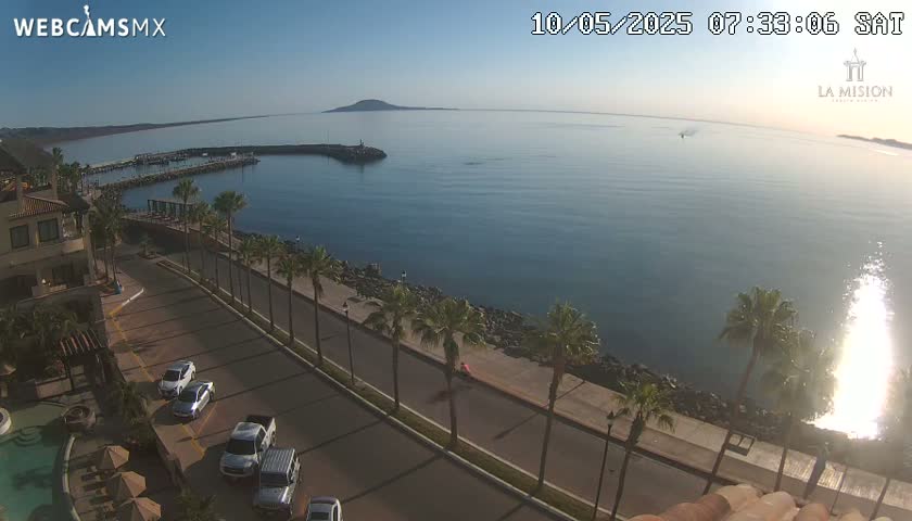 A clear, sunny morning view of a calm bay with a small marina, a coastal road lined with palm trees, and several parked cars.