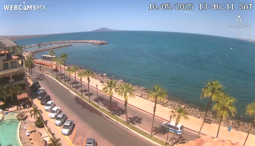 A seaside road lined with palm trees curves along a calm, blue ocean under a clear, sunny sky, with cars parked along the road and a small marina visible in the distance.