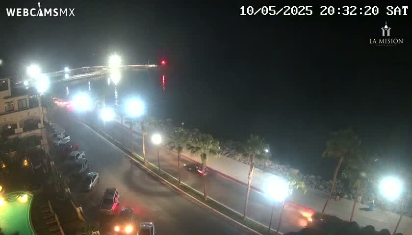 A nighttime, coastal scene shows a paved road lined with palm trees next to a calm body of water, with several cars parked and driving along the road near a building.