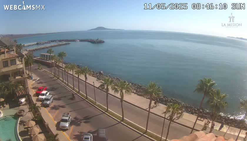 A sunny day overlooking a calm ocean bay, a coastal road lined with palm trees, and parked cars near a resort-style building.
