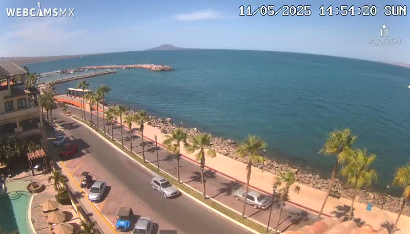 A sunny coastal scene shows a road lined with palm trees leading to a marina and calm blue ocean with a distant mountain range under a clear sky.
