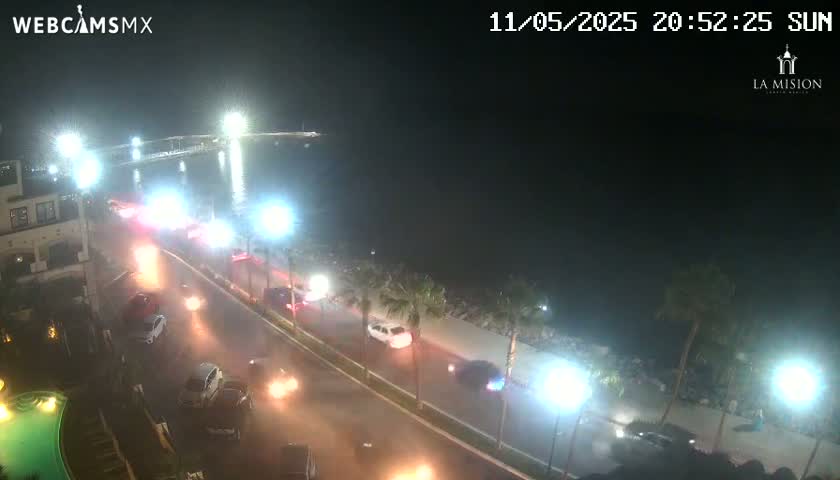 A nighttime, overhead view of a coastal road with moderate traffic, palm trees lining the roadside, and a bridge in the distance under partly cloudy skies.