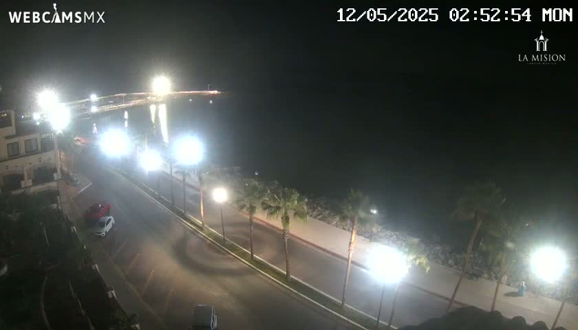 A nighttime, high-angle view shows a coastal road lined with palm trees, cars parked along the side, and a dark body of water in the background.