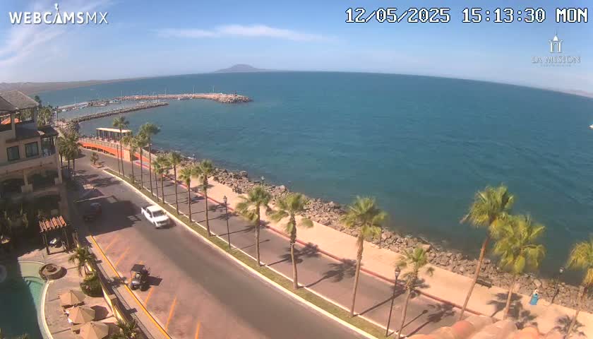 A coastal road lined with palm trees curves along a shoreline with calm blue water and a small marina under a mostly sunny sky.