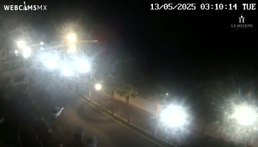 A nighttime, hazy view of a roadway with several cars and palm trees, illuminated by bright streetlights.