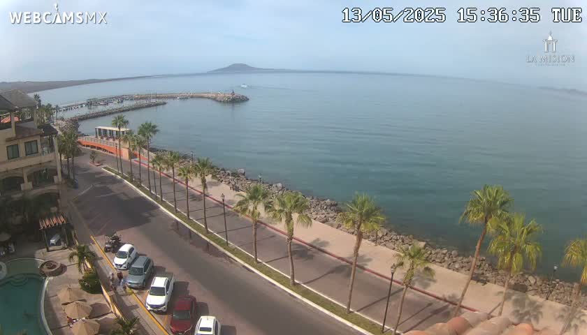A seaside road lined with palm trees overlooks a calm bay and a distant mountain under a clear sky.