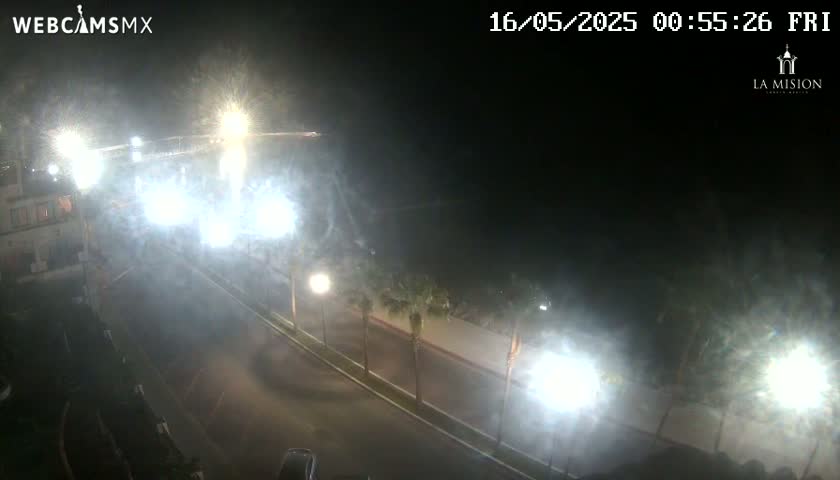 A hazy nighttime scene shows a road curving through palm trees, illuminated by bright streetlights, with some vehicles visible in the distance.