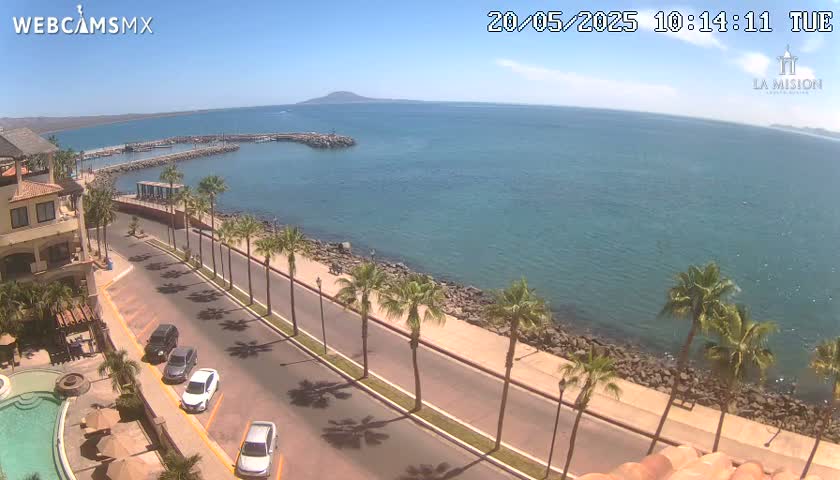 A sunny seaside road lined with palm trees overlooks a calm blue ocean and a marina with a distant mountain visible under a mostly clear sky.