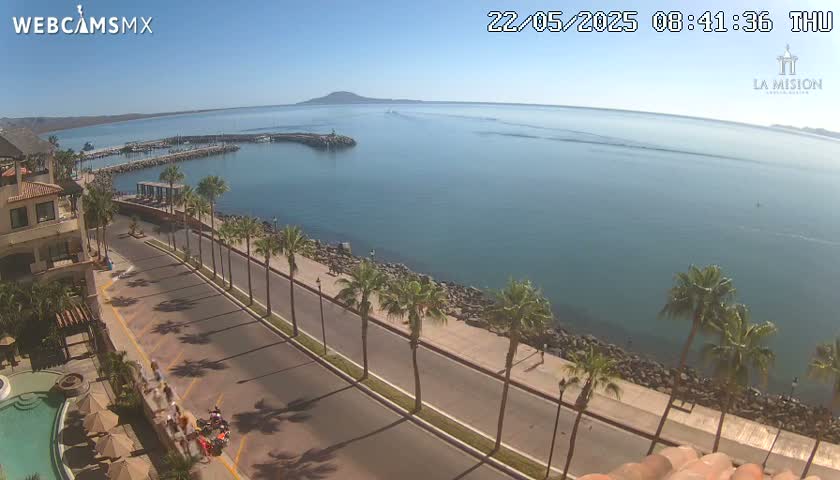 A coastal road lined with palm trees runs alongside a calm bay, under a clear sunny sky.