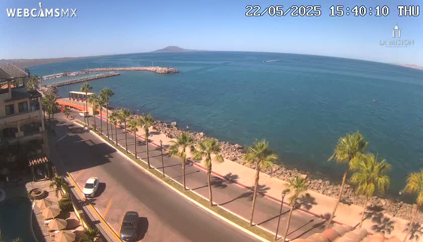 A coastal road lined with palm trees overlooks a calm ocean harbor on a sunny day.
