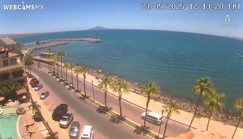 A seaside road lined with palm trees overlooks a calm, blue ocean on a sunny day.
