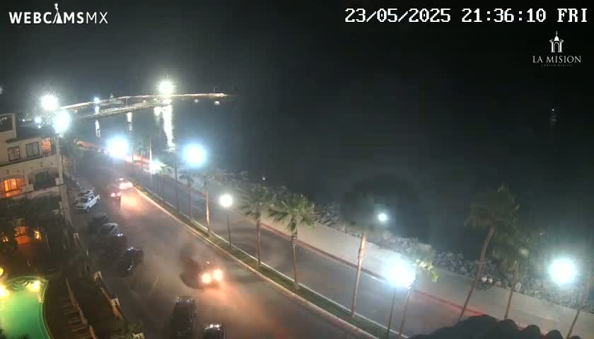 A nighttime, coastal scene shows a paved road lined with palm trees beside a body of water, with cars driving on the road and lights illuminating the area.