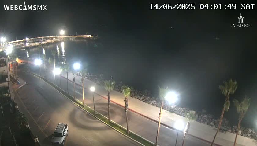 A nighttime, brightly lit seaside road with palm trees curves alongside a calm body of water under a clear sky.