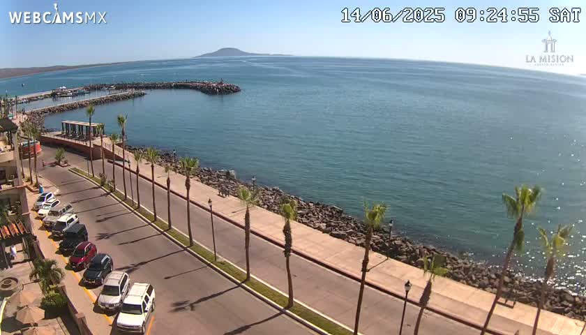 A seaside road lined with palm trees and parked cars overlooks a calm ocean with a distant island under a clear, sunny sky.