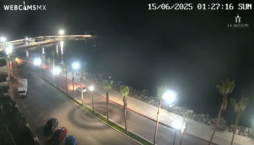 A nighttime, seaside view shows a paved road lined with palm trees curving alongside a calm body of water, with cars parked along the road and a few driving on it.