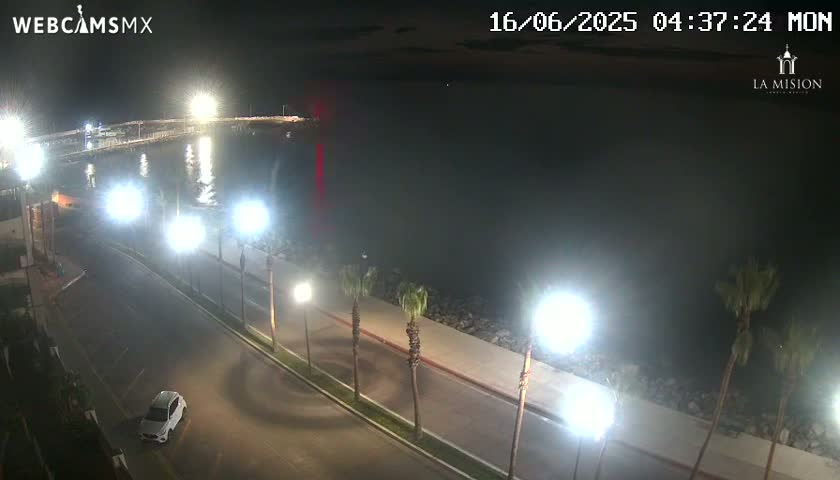 A nighttime, high-angle view of a coastal road lined with palm trees and bright streetlights, overlooking a calm body of water.