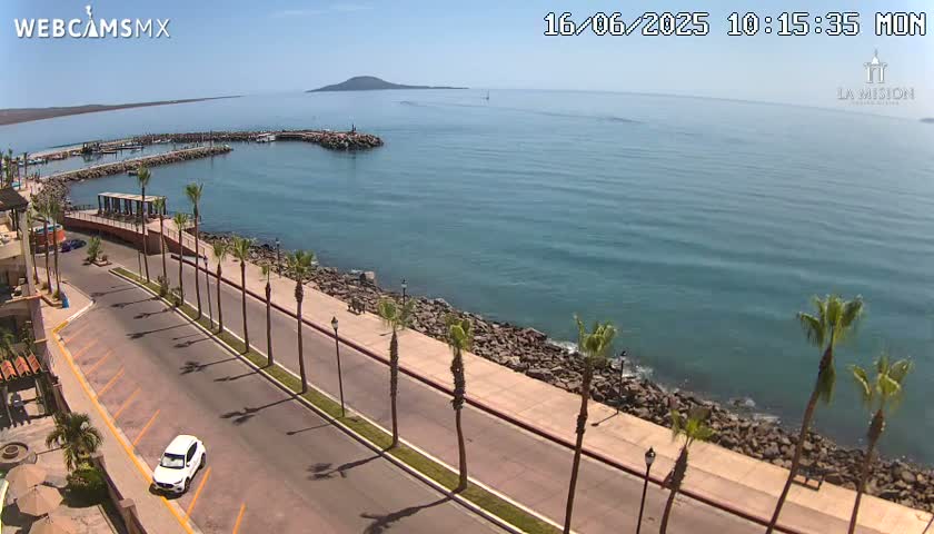 A seaside road lined with palm trees overlooks a calm ocean with a small island in the distance under sunny skies.