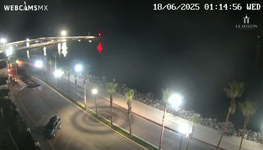 A nighttime, high-angle view shows a paved road lined with palm trees beside a calm body of water, with a single vehicle parked on the roadside.