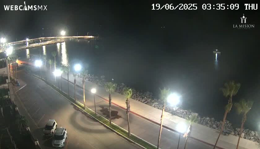 A nighttime, coastal view shows a paved road next to a body of water, lined with palm trees and streetlights, with a few cars parked along the road and a pier visible in the distance.