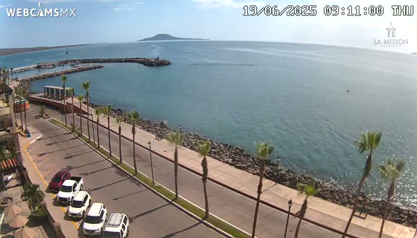 A seaside road lined with palm trees curves around a calm, blue ocean with a small island in the distance under a sunny sky.