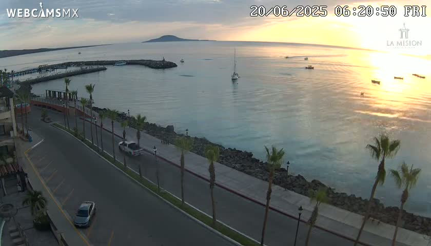 A calm, sunrise-lit ocean harbor scene is viewed from above, showing a paved walkway lined with palm trees beside a road with parked cars, a small marina, and a distant island.