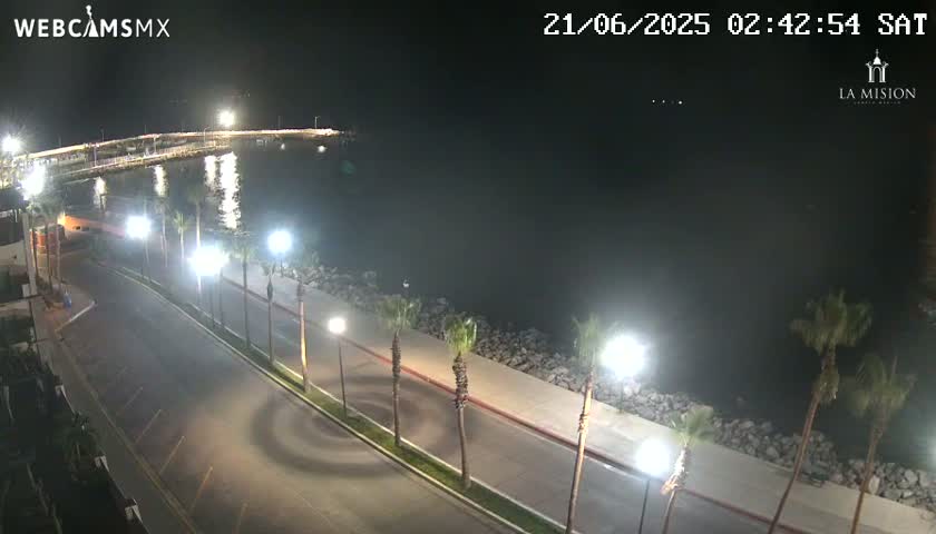 A nighttime, high-angle view shows a paved road curving alongside a calm body of water, lined with palm trees and illuminated by streetlights.