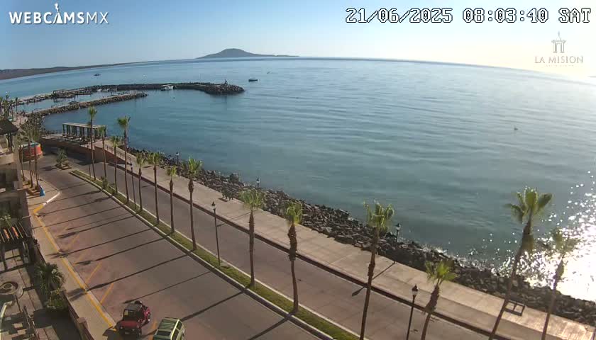 A coastal road lined with palm trees overlooks a calm ocean bay with a small marina and a distant island under a clear, sunny sky.