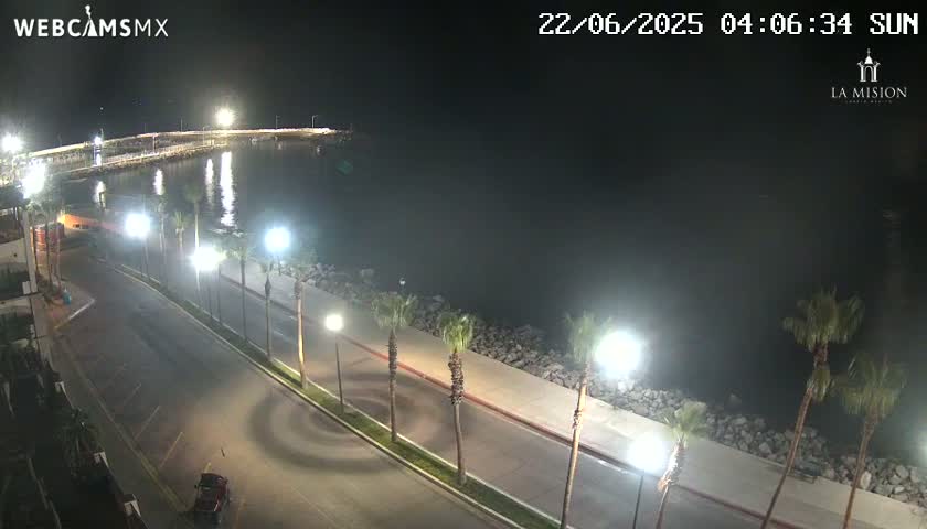 A nighttime view of a coastal road lined with palm trees, illuminated by streetlights, leading to a calm body of water with a pier in the background.